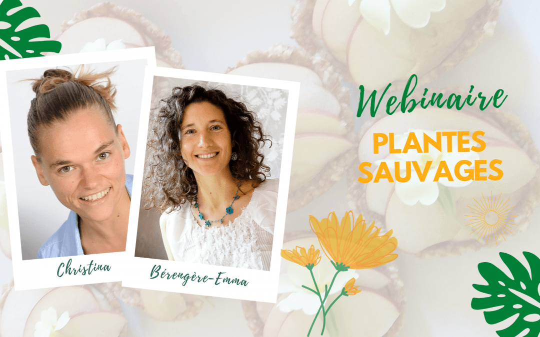 Cueillez vos super-aliments près de chez vous avec notre webinaire de cueillette et de crusine !
