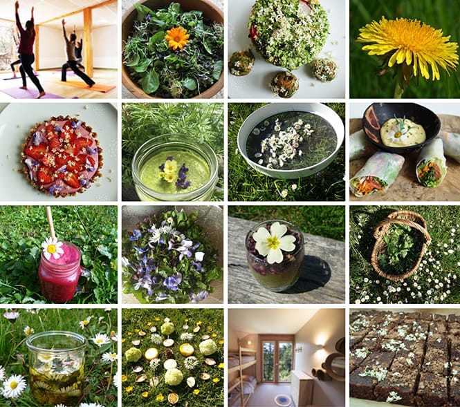 Stage de Yoga sur le thème des fleurs