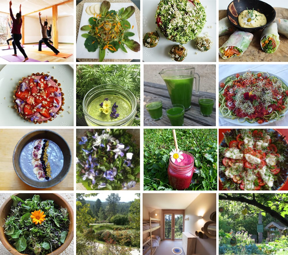 Stage détox avec le yoga et la cuisine vivante