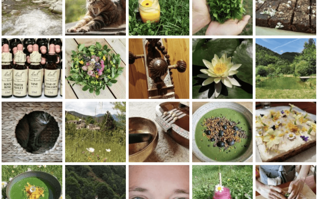 Cultiver l’attention : un stage de yoga, de cuisine vivante… et bien plus encore