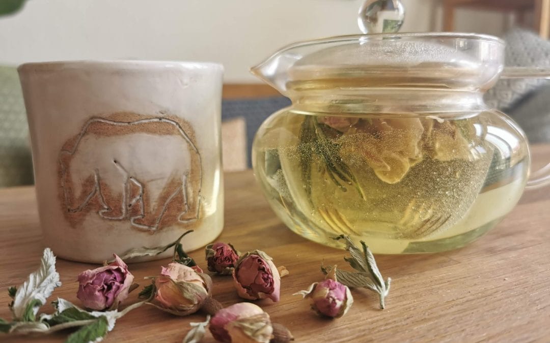 Infusion parfumée de framboisier et de rose