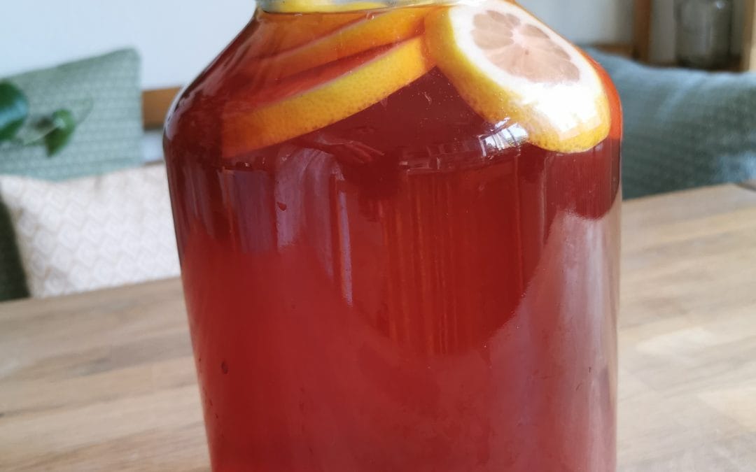 Kéfir d’hibiscus, gingembre et menthe : une boisson vivante