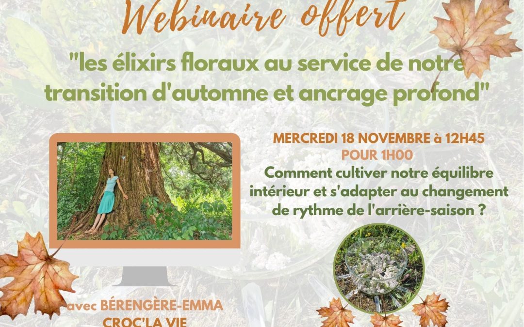 « L&rsquo;art de lâcher les feuilles pour nourrir ses racines » : les élixirs floraux en soutien